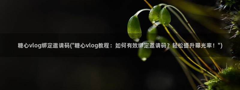 糖心vlgo免费进入