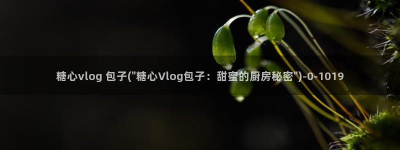 糖心vlgo桥本香菜观看