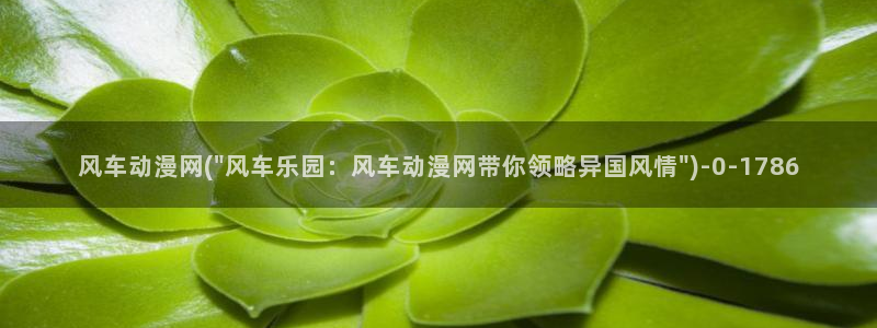 动漫排行榜：风车动漫网(\