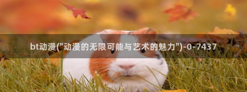 斗罗大陆动漫免费观看
