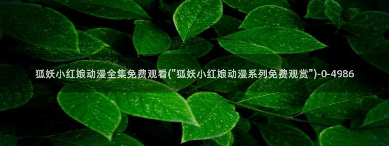acg动漫