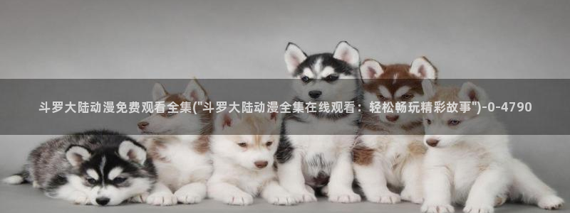 黄页动漫网站