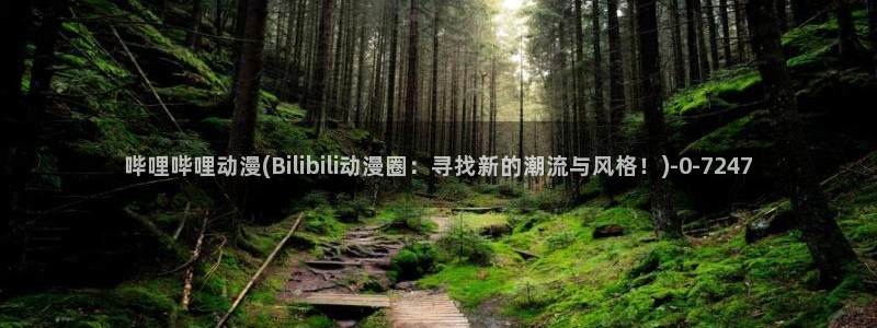 动漫二次元