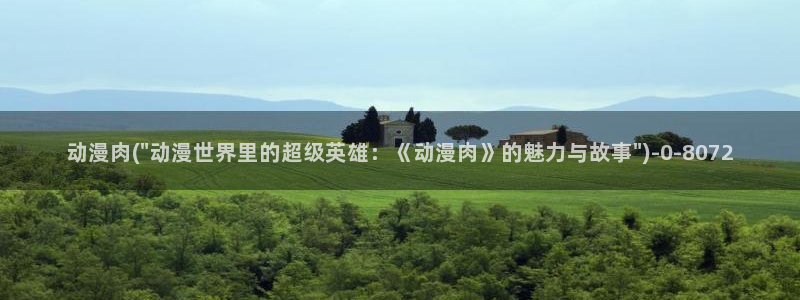 一拳超人动漫：动漫肉(\