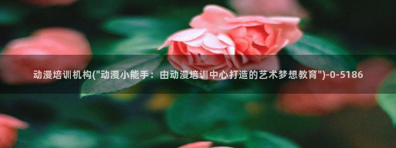 卡卡动漫