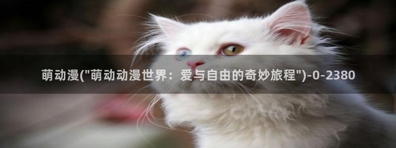 约会大作战动漫